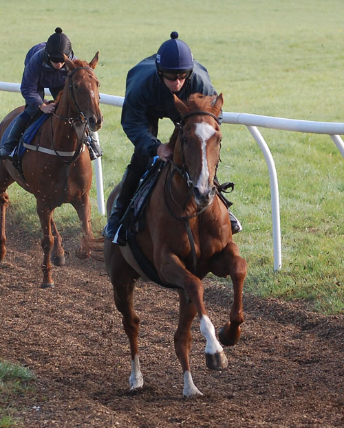 Hartforth in a Sept gallop