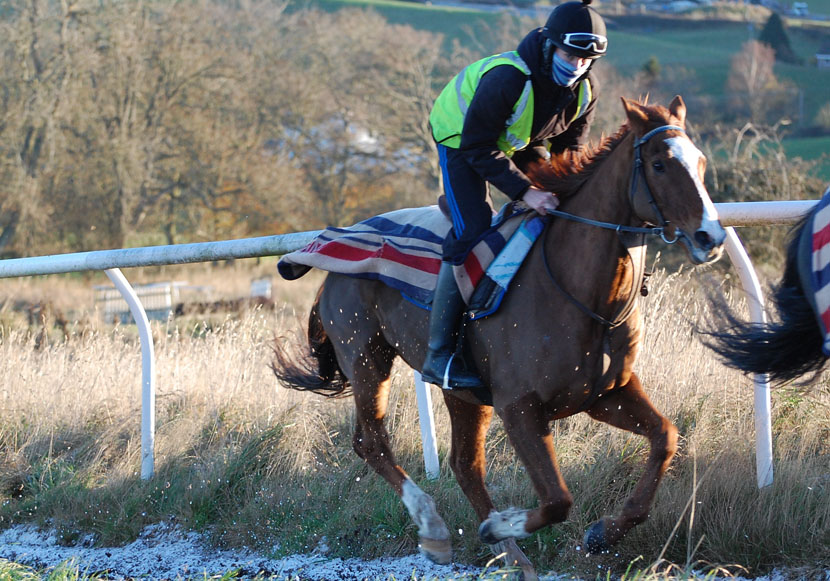 Hartforth gallop Nov 15