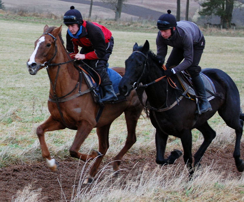 Leith Walk in a winter gallop