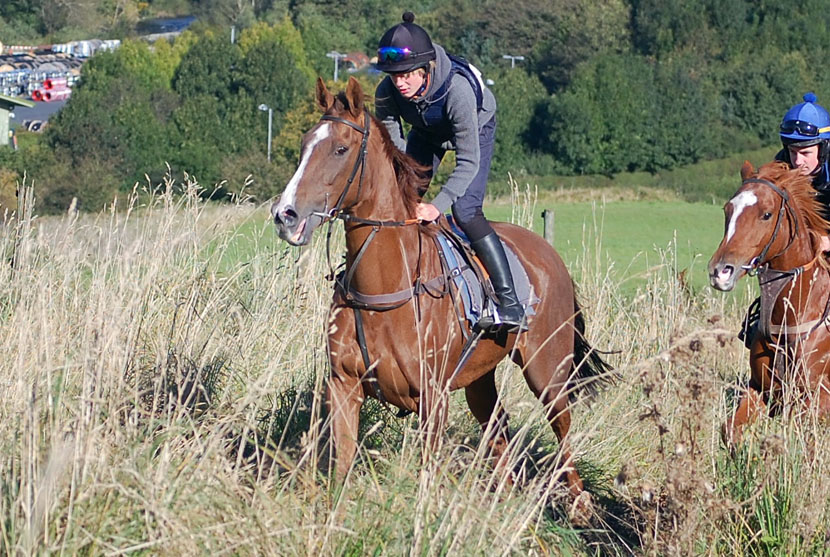 Leith Walk Oct 12 gallop