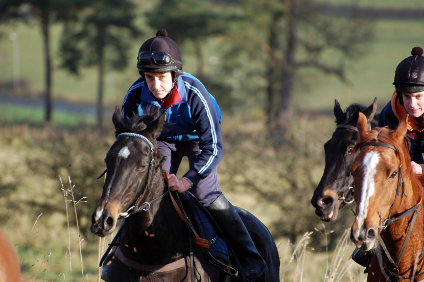 Naomi on the gallops