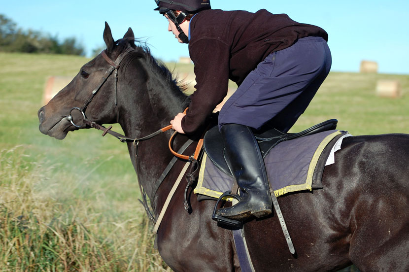 Mini the Minx gallop