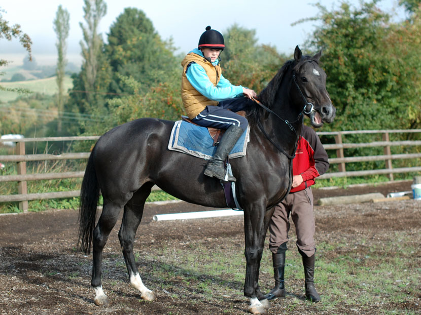 Naomi in the paddock