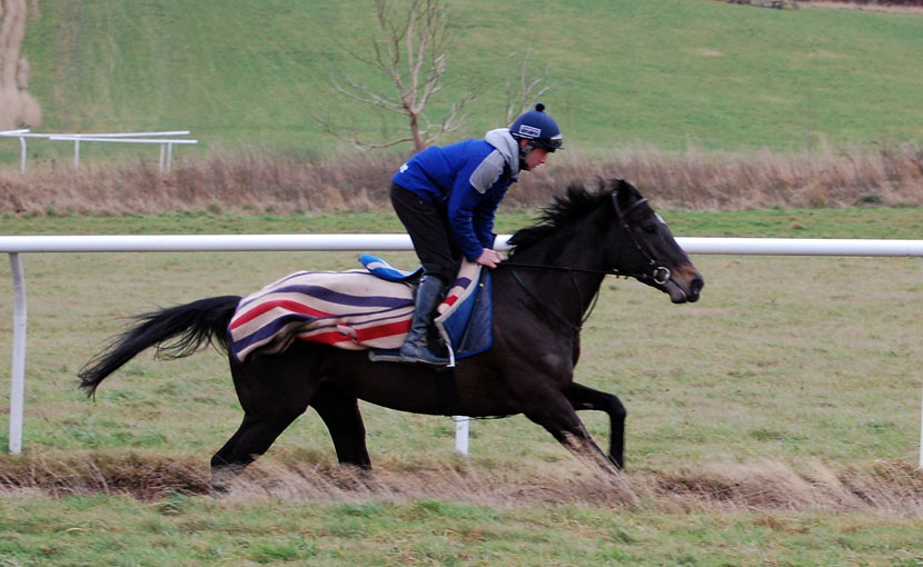 Mini the Minx in a December gallop