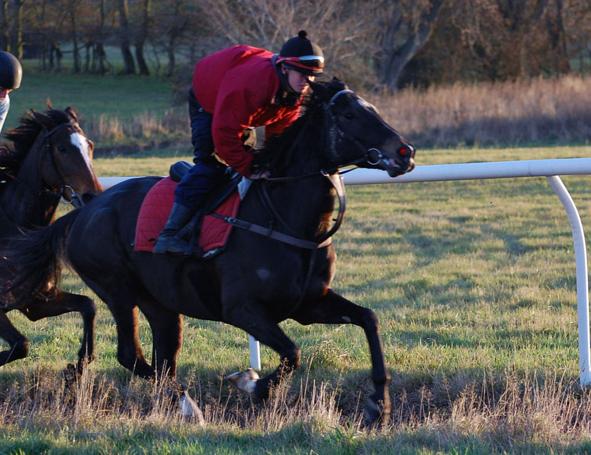 Naomi in Nov gallop