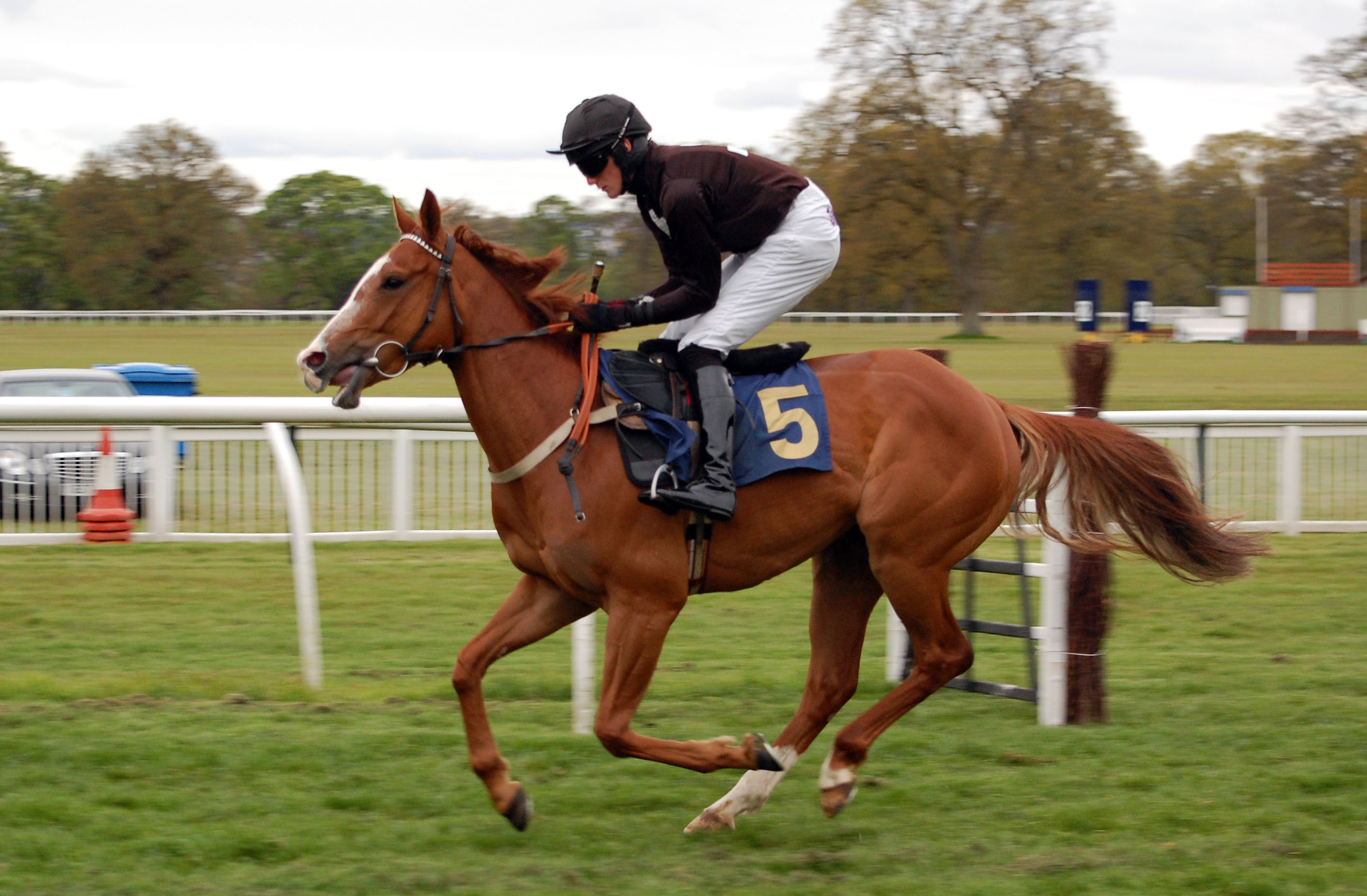 Nodda High Kid going down