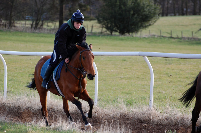 Neve April 15 gallop