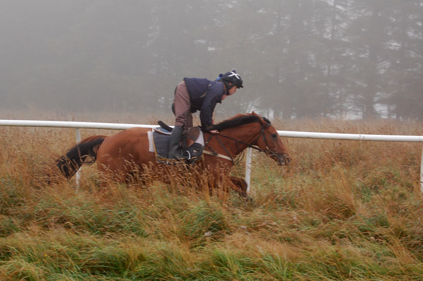Neve Oct 15 gallop