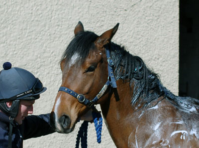 Princess in the yard