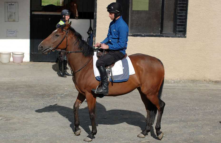 Princess in the yard