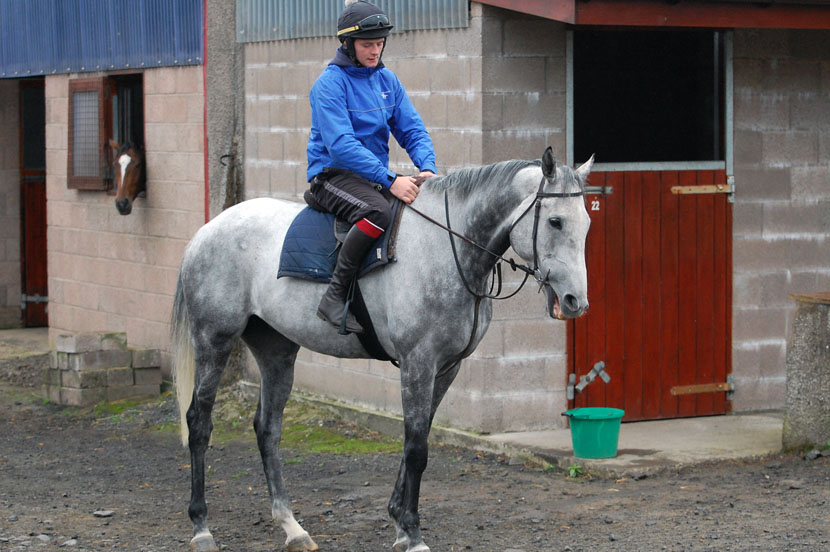 Shadow Boxer at ease