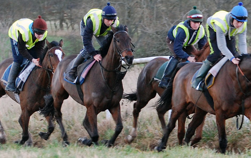 Shades of Midnight (Garry)