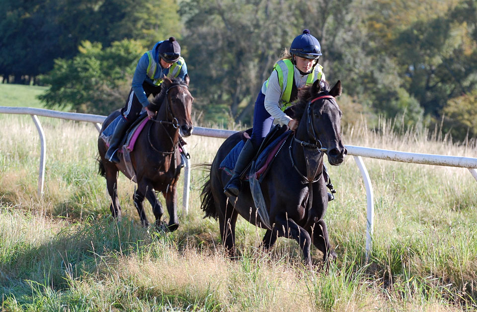 Theo September gallop