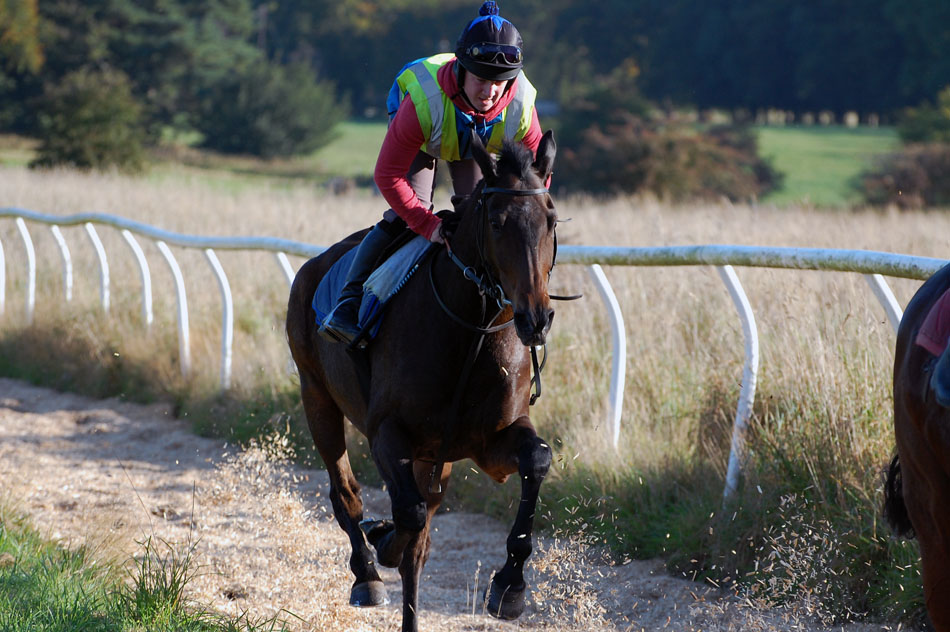 Bruce on the gallops