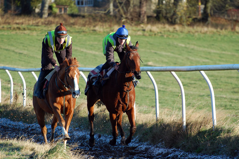 Chuckie & Fizz Nov 15