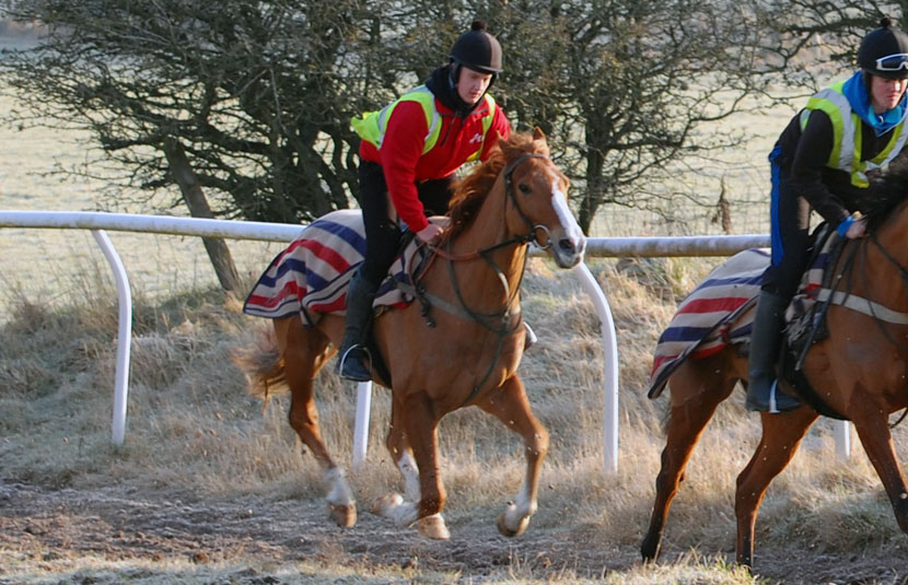 Tomahawk Wood Feb 16