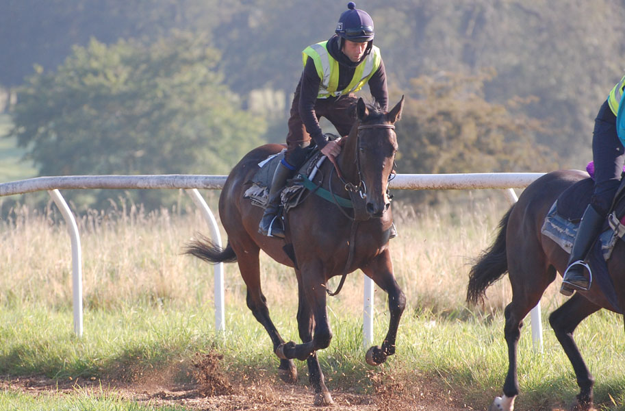 Tommy on the gallops