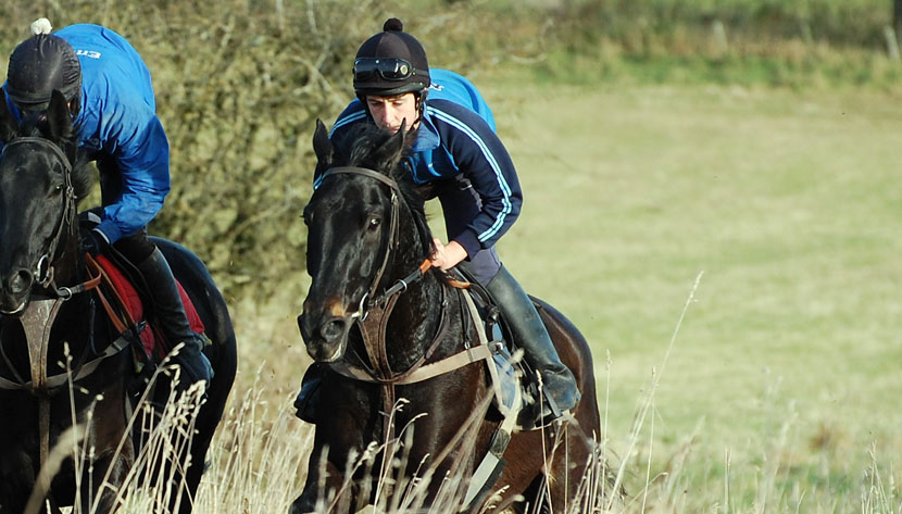 Yo La Tengo (with Ross)