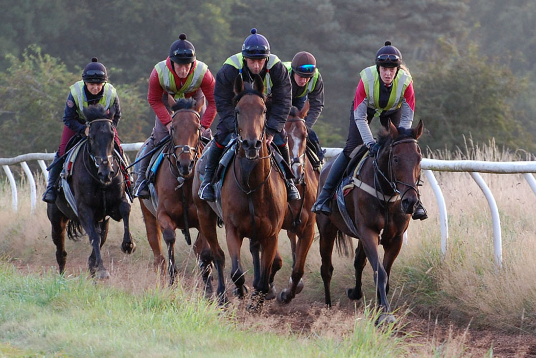 Dodlands Gallops 5