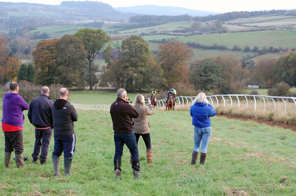 Potassium Partnership on gallops