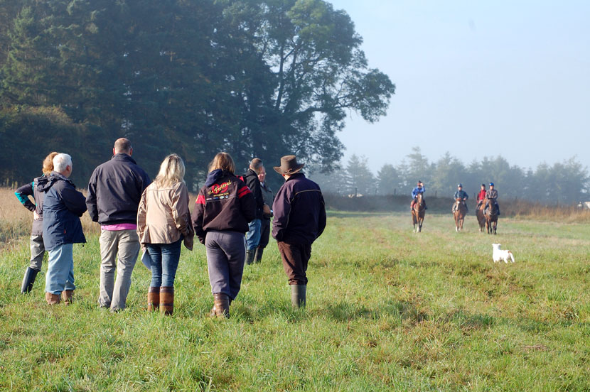 Potassium on the gallops