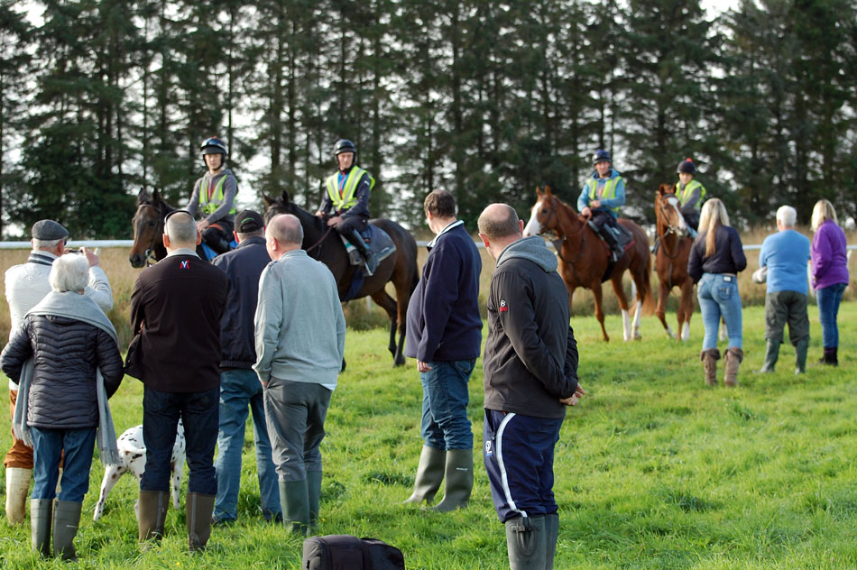 Potassiun Syndicate 1