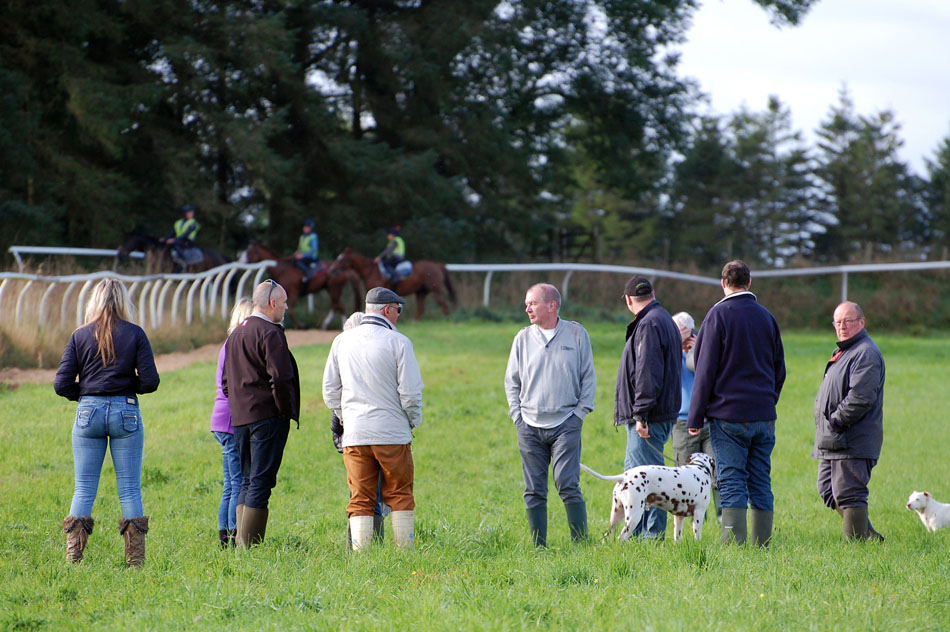 Potassiun Syndicate 2