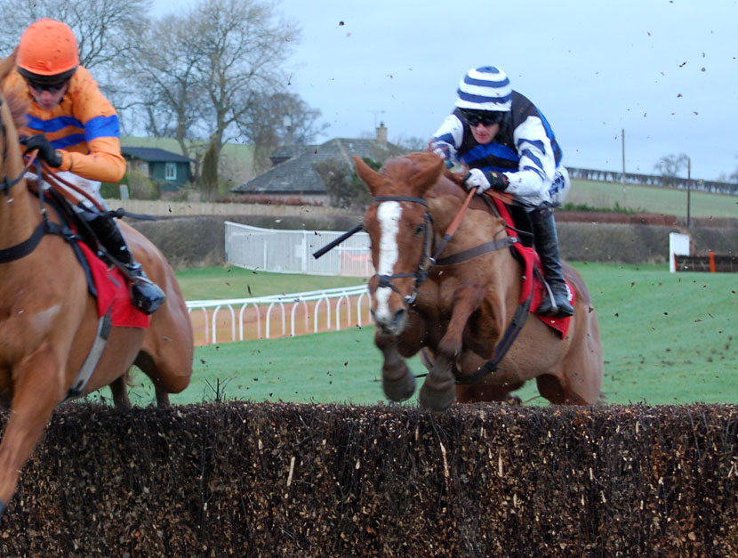 Hawaii takes a fence
