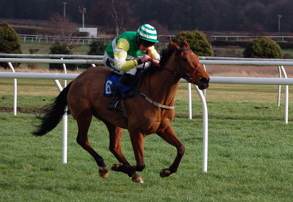 Paper Roses at Kelso