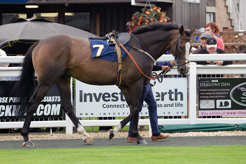 Jimmy in the paddock
