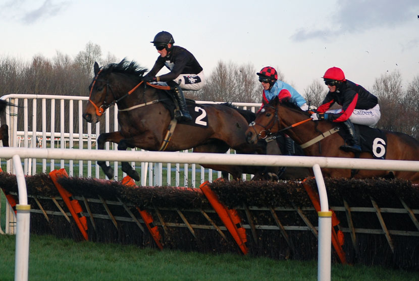 Snapping Turtle jumping