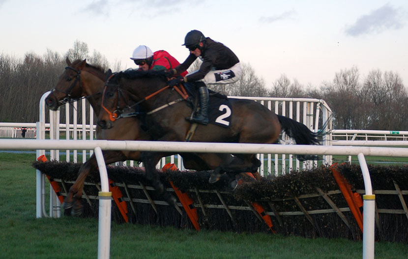 Snapping Turtle at the last