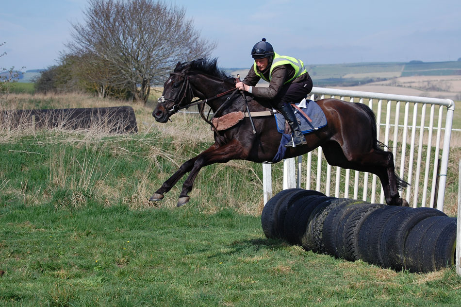 Night Comes In schooling well