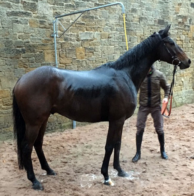 Shady post Newcastle