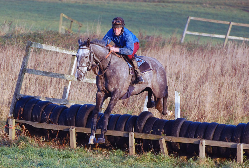 Dali Mail jumping well