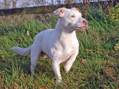 Security first class