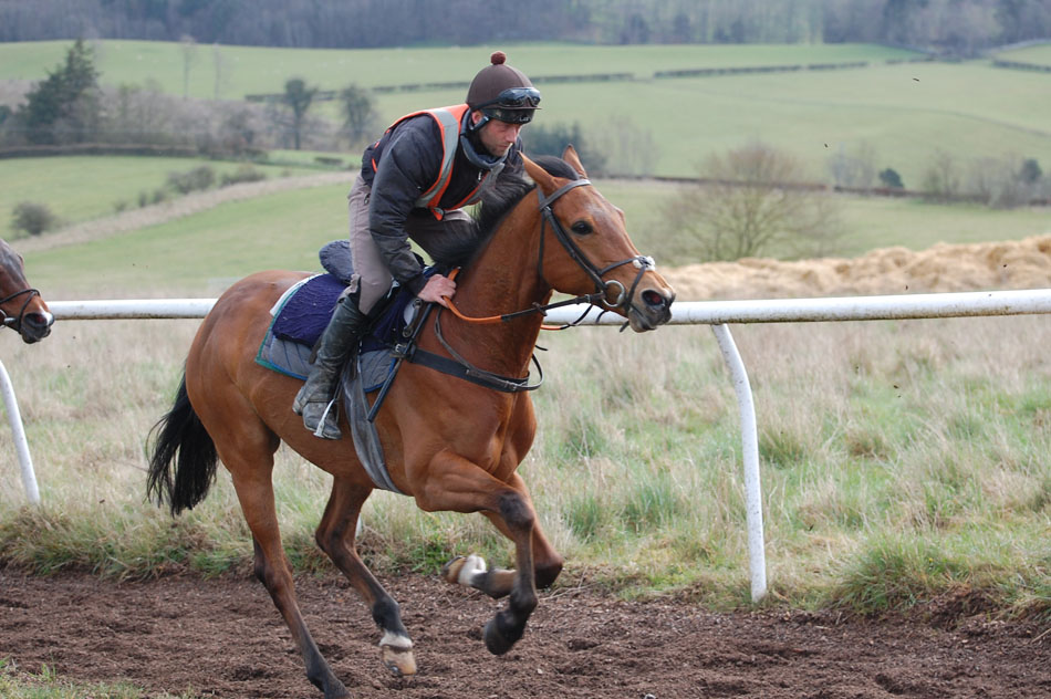 Garry riding out Janie