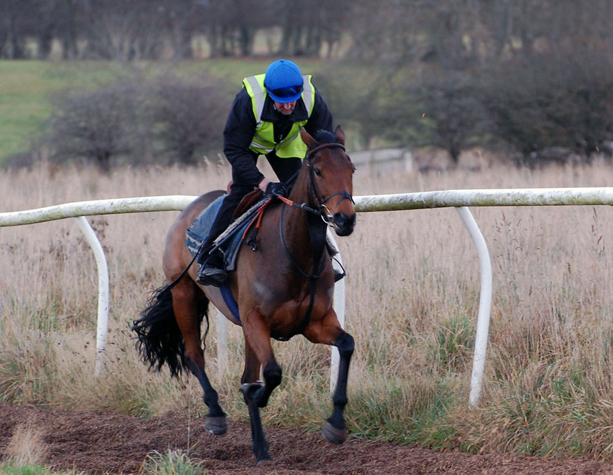 Profile of Staff at Donald Whillans Racing
