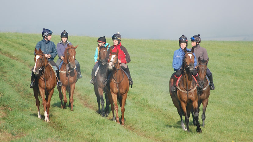 Lads on the gallops