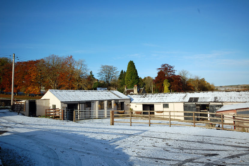 Winter scene at Dodlands